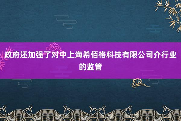 政府还加强了对中上海希佰格科技有限公司介行业的监管