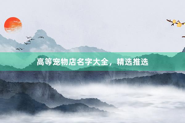 高等宠物店名字大全，精选推选